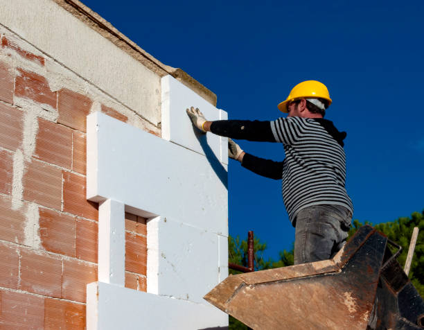 Best Fiberglass Insulation  in Wahoo, NE