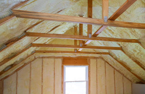 Best Soundproof Insulation Installation  in Wahoo, NE