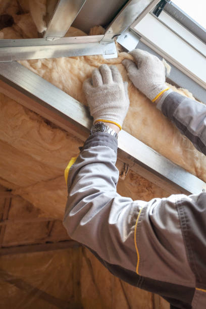 Best Crawl Space Insulation  in Wahoo, NE