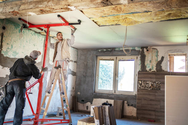 Best Wall Insulation Contractor  in Wahoo, NE