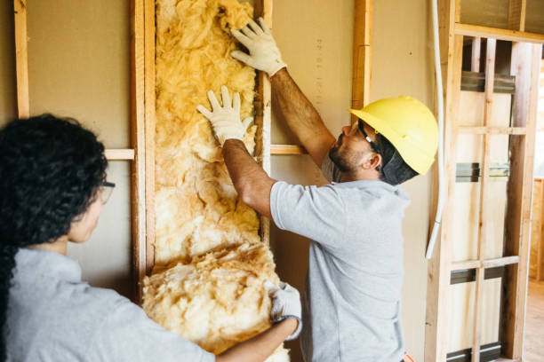 Best Insulation Removal Services  in Wahoo, NE