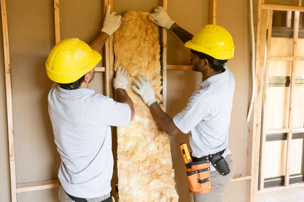 Best Blown-in Insulation  in Wahoo, NE