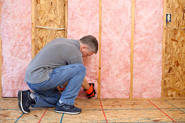 Best Soundproof Insulation Installation  in Wahoo, NE