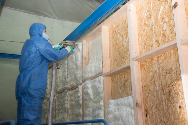 Best Attic Insulation Installation  in Wahoo, NE